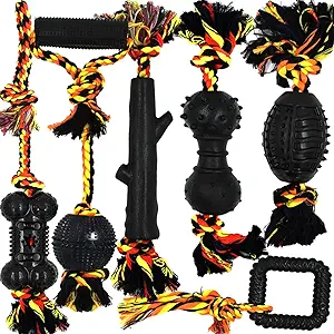 Top 3 Eco-Friendly Dog Products Every Pet Owner Must Try in 2025 13 Best Durable Dog Chew Toys