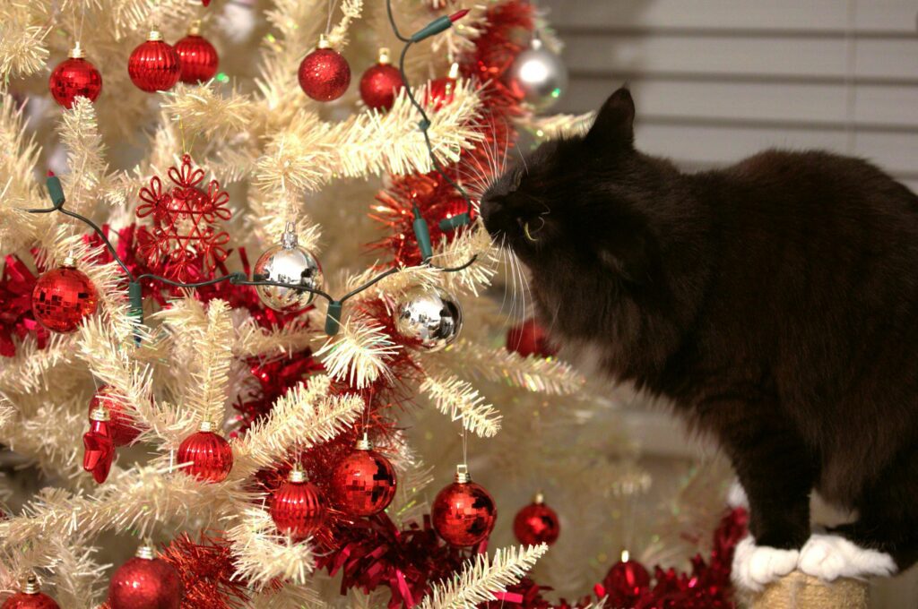 A premium cat tree with an enclosed litter box, designed for modern and stylish homes.