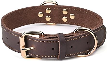 Brown leather dog collar featuring two brass rivets for added durability and style.