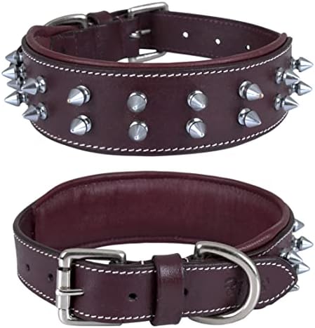 Top 10 Best Large Leather Dog Collars 23 A pair of dog collars featuring spikes, each with unique styles and colors, arranged for comparison.