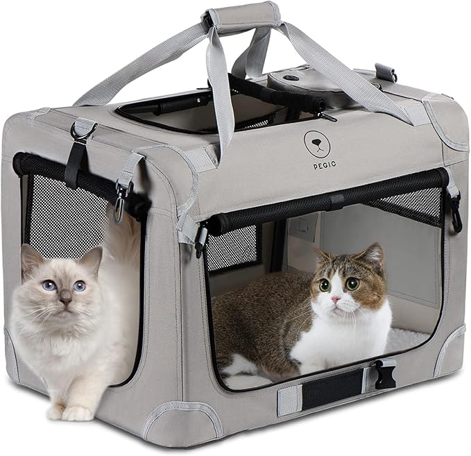 Two cats sit inside a pet carrier against a white background, looking curiously at the viewer.