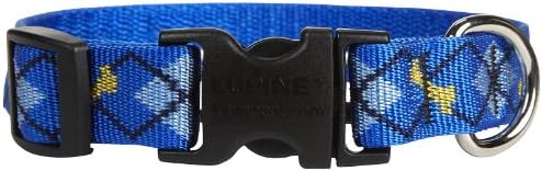 Top 10 Best Large Leather Dog Collars 26 A blue dog collar featuring vibrant yellow and blue patterns, designed for style and comfort.