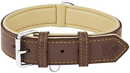 Top 10 Best Large Leather Dog Collars 22 Brown leather dog collar featuring a buckle and two metal clasps for secure fastening.