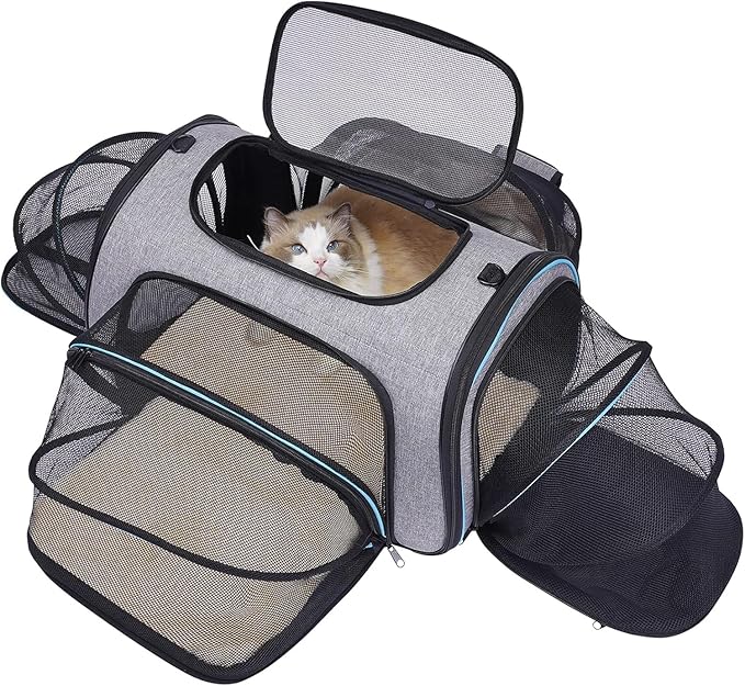 A cat sits inside a pet carrier next to a black and grey bag, looking curiously out from its enclosed space.