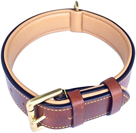 Top 10 Best Large Leather Dog Collars 18 A brown leather dog collar featuring gold hardware, showcasing a stylish and durable design for pets.