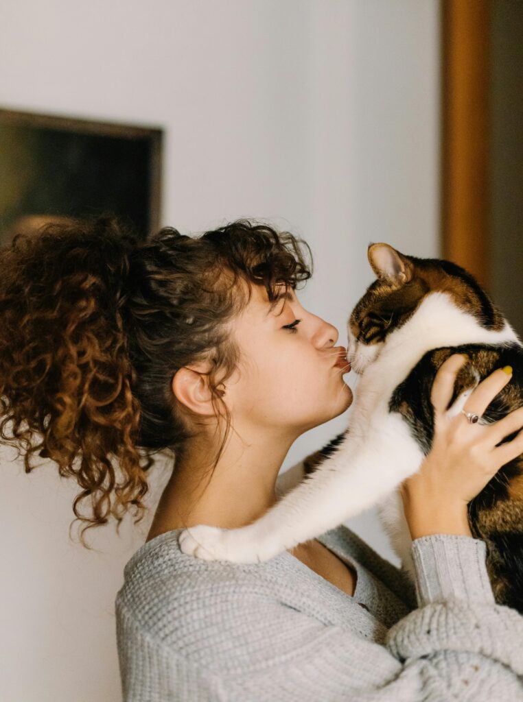Cat enjoying with cat sitter.