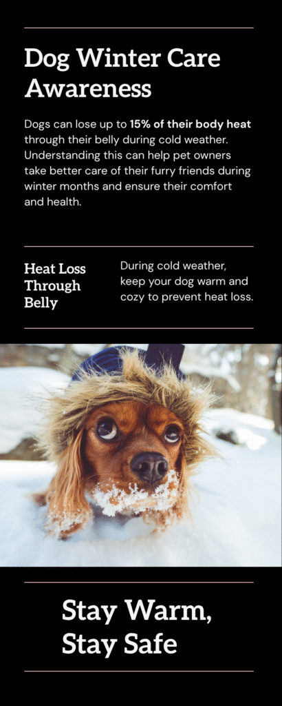 Buy This RC Pet Shasta Dog Coat for Cold Walks |Just $30 18 A dog wearing a winter coat, highlighting the importance of winter care for pets in cold weather.