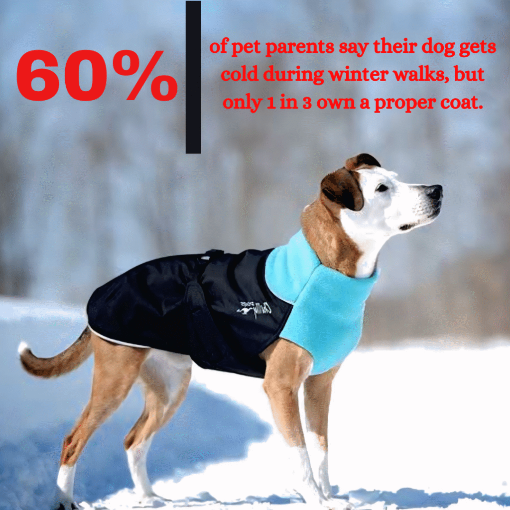 Buy This RC Pet Shasta Dog Coat for Cold Walks |Just $30 12 A dog in a warm coat stands playfully in the snow, surrounded by a winter landscape.